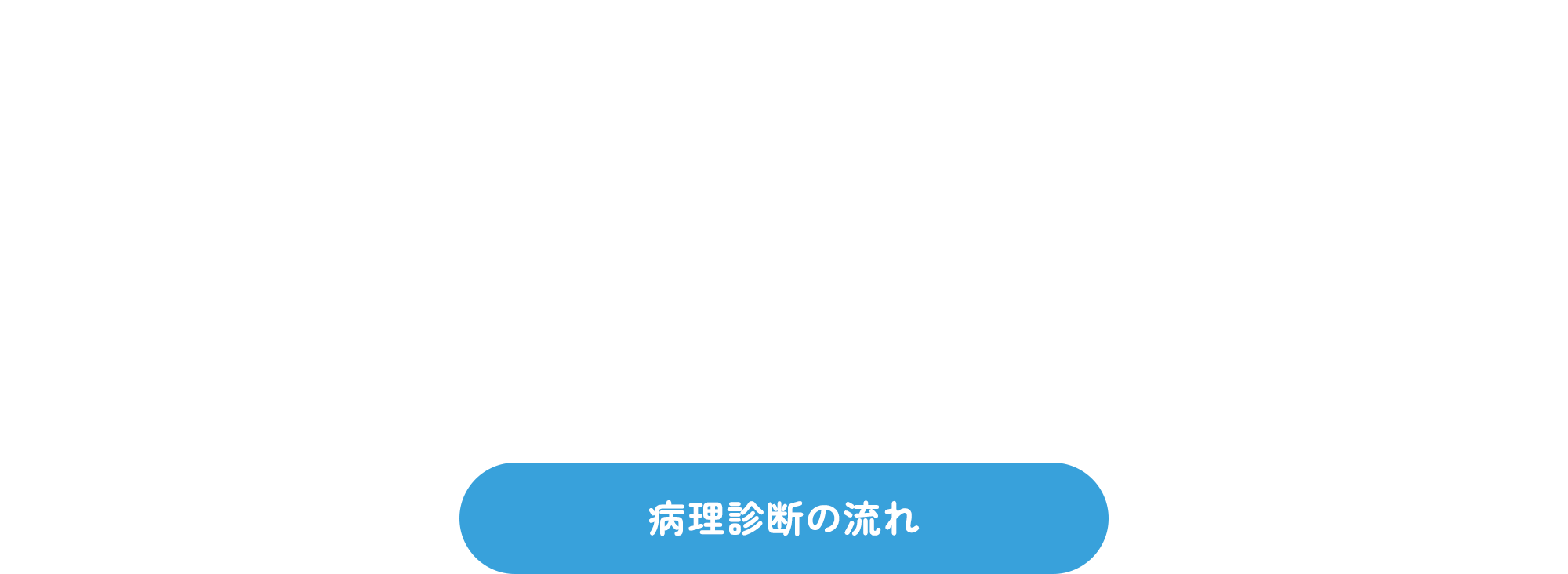 病理診断の流れ